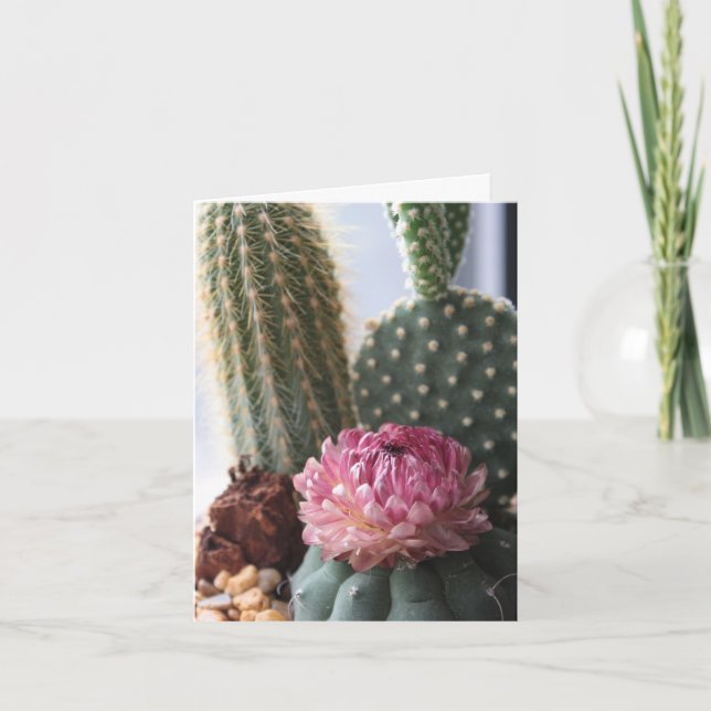 Romans 8:37 Cactus Card (Front)