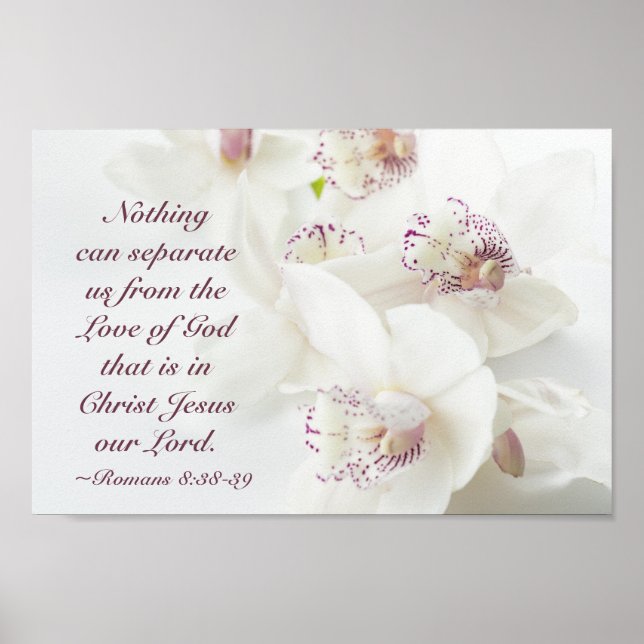 Romans 8:39 Love of God Bible White Orchids Poster (Front)
