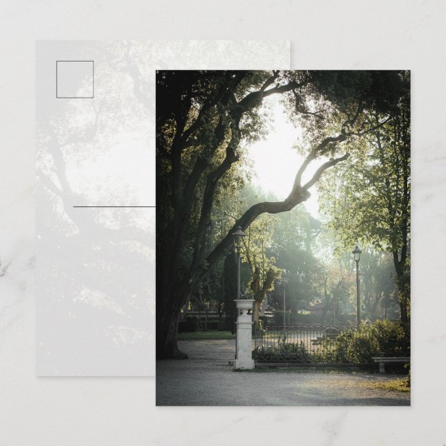 Romantic Academia Park View, Rome Postcard (Front/Back)