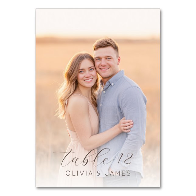 Romantic Beige Blue Photo Table Number (Back)