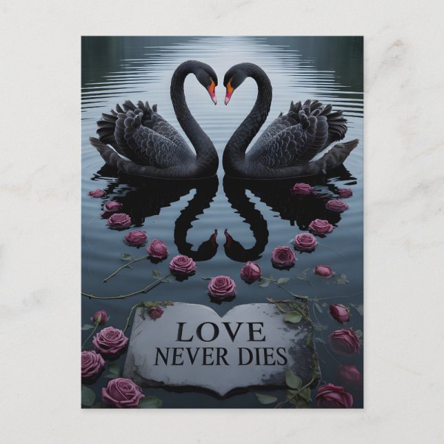 Romantic Black Swans Heart Reflection with Text Holiday Postcard (Front)