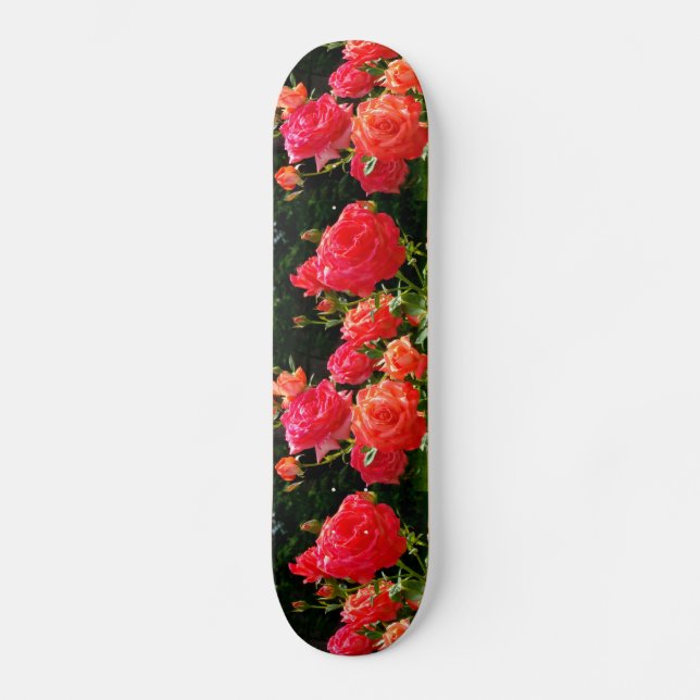 Romantic Coral Roses Skateboard (Front)