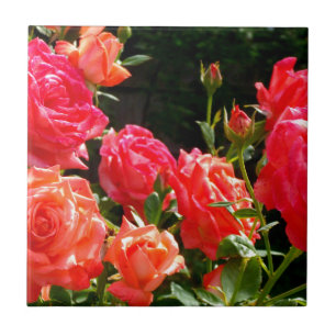 Romantic Coral Roses Tile
