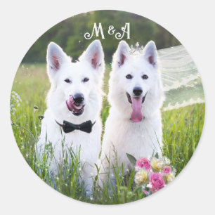 Romantic couple of dogs geting married  classic round sticker