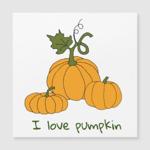 Romantic Cute orange pumpkin harvest