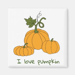 Romantic Cute orange pumpkin harvest     Magnet