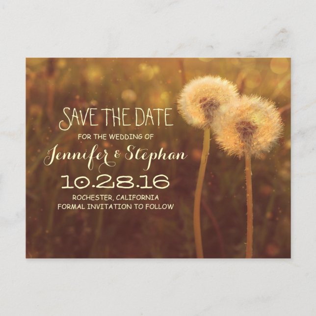 romantic dandelion blossoms save the date postcard (Front)