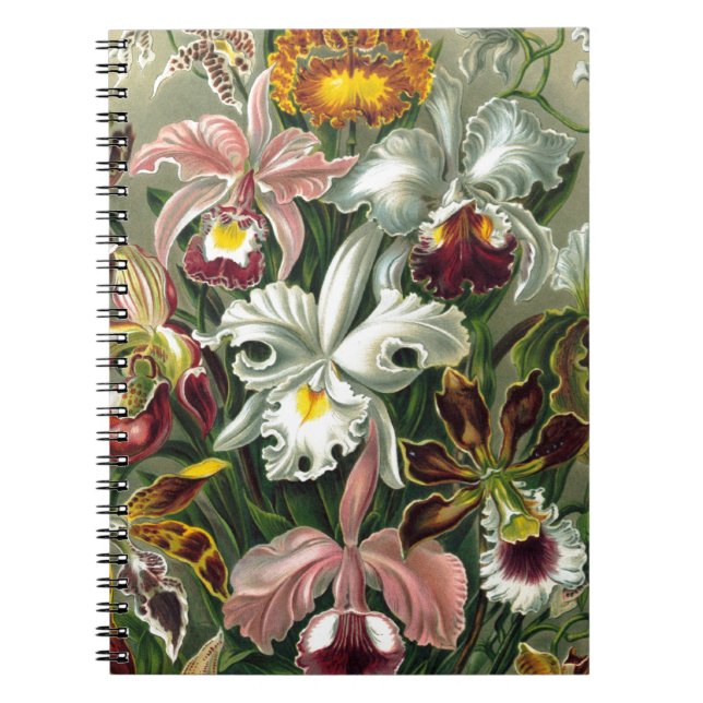 romantic date blossoms rsvp colourful chic notebook (Front)