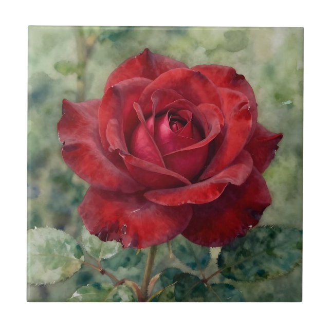Romantic Deep Red Rose Bloom Ceramic Tile (Front)
