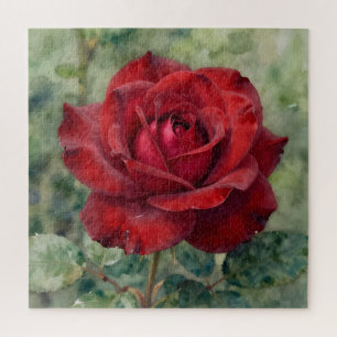 Romantic Deep Red Rose Bloom Jigsaw Puzzle