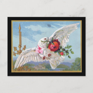 Romantic Dove Postcard