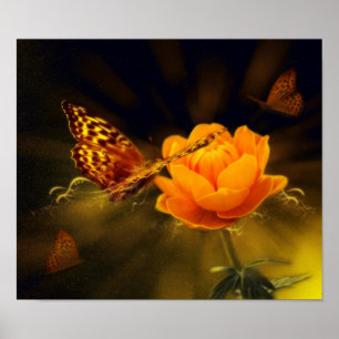 Romantic Elegant Butterfly Blossoms Poster