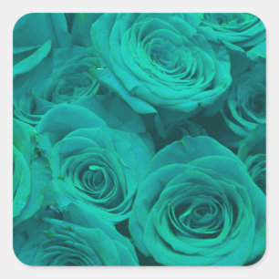 Romantic elegant teal green roses floral square sticker