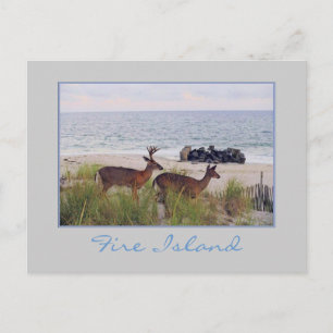 'Romantic Evening Stroll Along the Beach' Postcard