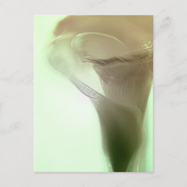 Romantic Flower Detail Postcard (Front)