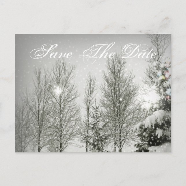 Romantic Forest trees Winter Wedding save the date Announcement Postcard (Front)