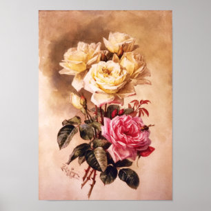 Romantic French Bridal Roses Fine Art Print