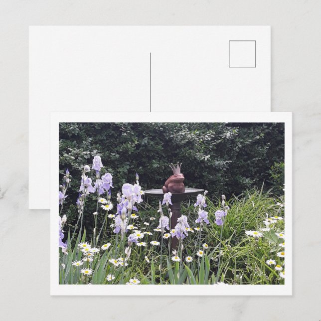 Romantic Frog Prince and Flowers Postcard (Front/Back)