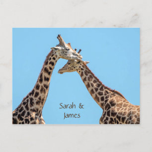 Romantic Giraffe Hugs Personalised Postcard