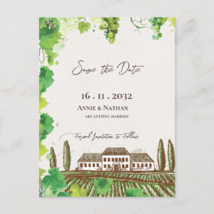 Romantic Grapevine Wine Country Vineyard Wedding Announcement Postcard