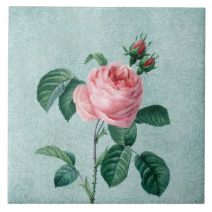 Romantic Lace Rose Tile