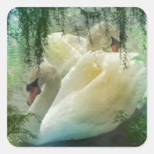 Romantic Lake Swimming White Swans Square Sticker
