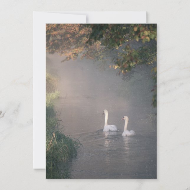 Romantic Lakeside Water Swan Wedding Invitation (Front)