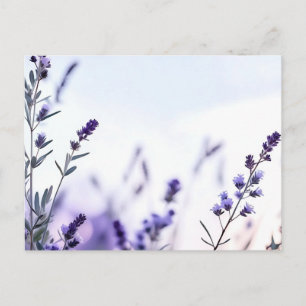 Romantic Lavender Watercolor Postcard