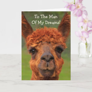 Romantic Llama "Man Of My Dreams" Birthday Card