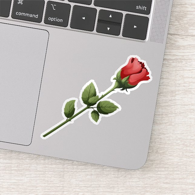 Romantic Long Stem Red Rose Bud with Green Leaves (Detail)