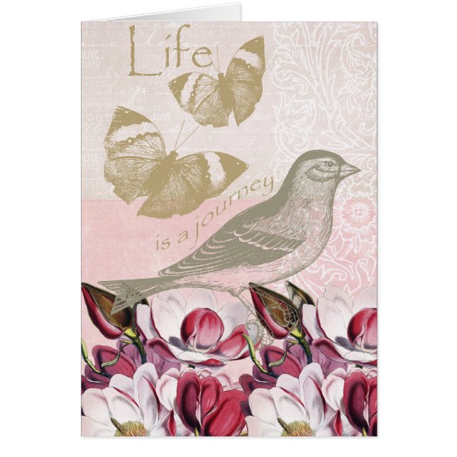 Romantic Magnolias (Front)