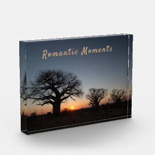 Romantic Moments Sunset Sacred Baobabs photo text Block