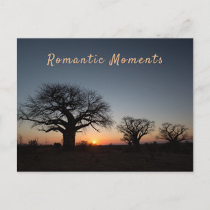 Romantic Moments Sunset Sacred Baobabs photo text Postcard