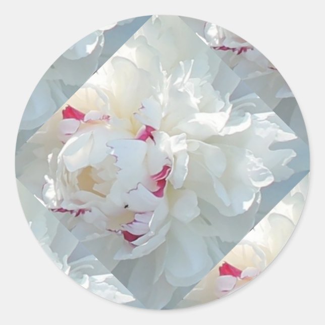 Romantic Multi Peony Stickers (Front)