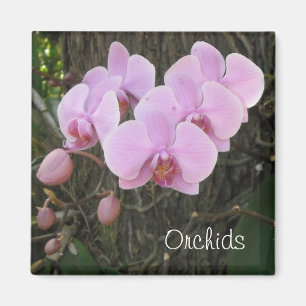 Romantic Orchids Magnet