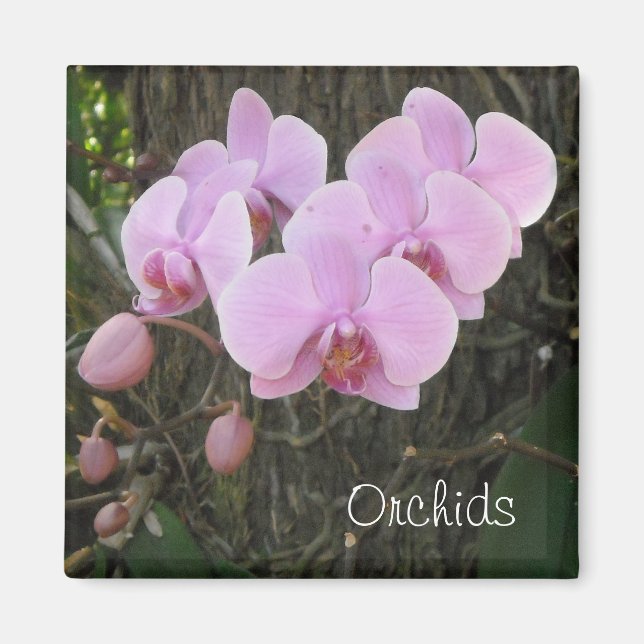 Romantic Orchids Magnet (Front)