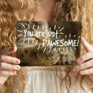 Romantic Pawesome Cat Valentines Postcard