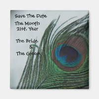 Romantic Peacock Wedding Save the Date