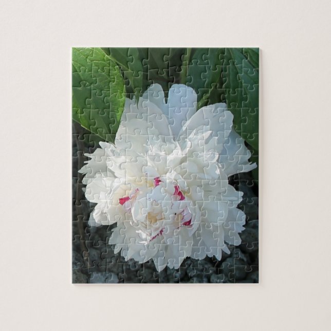 Romantic Peony Puzzle (Vertical)