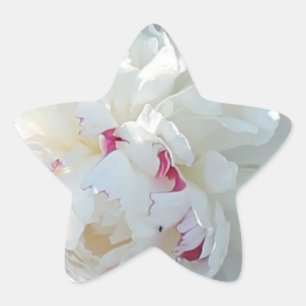 Romantic Peony Star Sticker