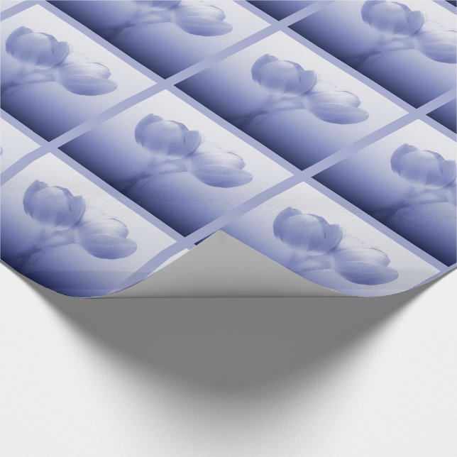 Romantic Periwinkle Blue Tulip Pair Wrapping Paper (Corner)