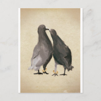 Romantic Pigeons Postcard