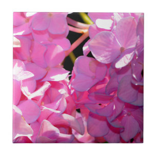 Romantic pink floral elegant hydrangeas  ceramic tile