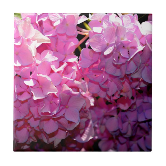 Romantic pink floral elegant hydrangeas  ceramic tile (Front)