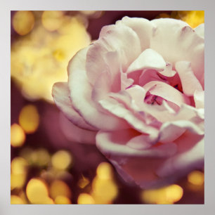Romantic Pink Rose and Golden Yellow Bokeh Poster