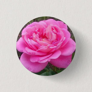 Romantic Pink Rose 'Leonardo Da Vinci' 3 Cm Round Badge