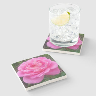 Romantic Pink Rose 'Leonardo Da Vinci' Stone Coaster