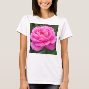 Romantic Pink Rose 'Leonardo Da Vinci' T-Shirt