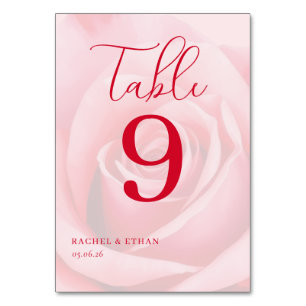 Romantic Pink Rose Table Number