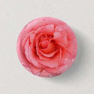 Romantic Pink Rose Water Drops 3 Cm Round Badge